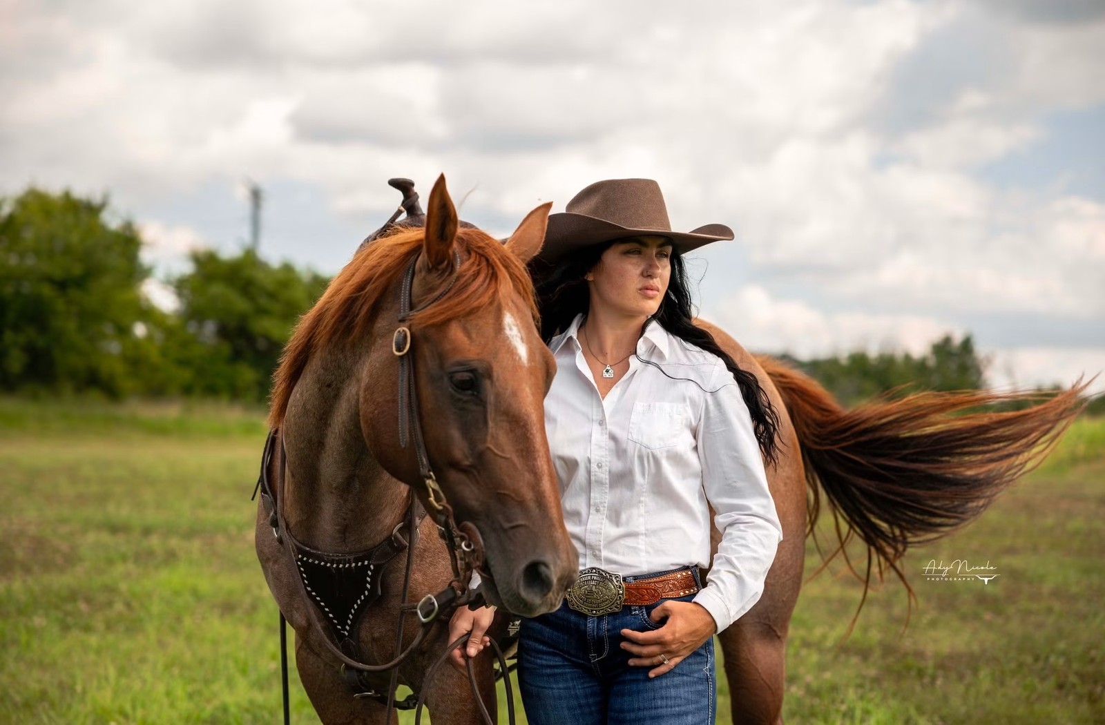 anp-equine-feature.jpg